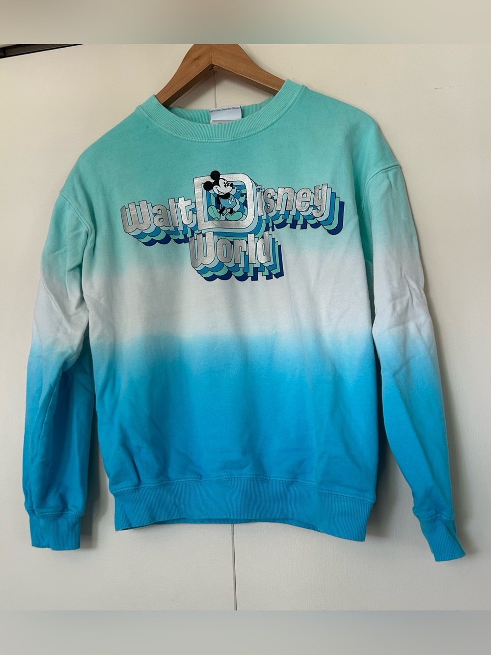 Disney World Ombre Teal to Blue Sweatshirt